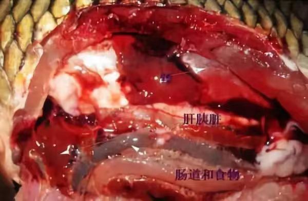 傳播途徑.jpg